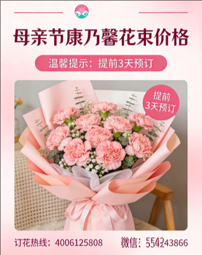 朔州朔城区花店母亲节康乃馨花束