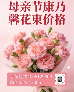 朔州朔城区花店母亲节康乃馨花束